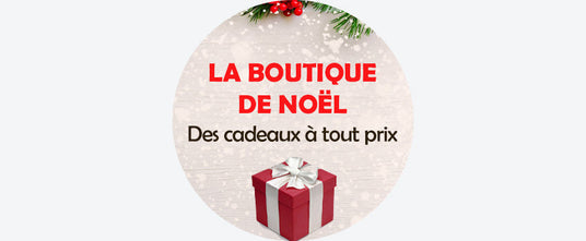 Sélection Noël : Des Idées Cadeaux pour tous les prix