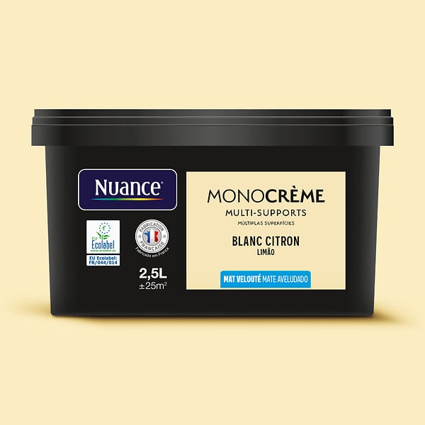 H20123-2L5 - Peinture Monocrème - Blanc ci