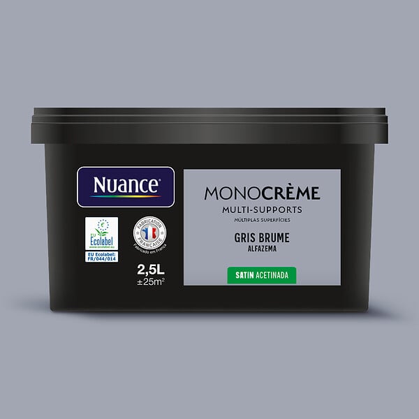 H20171-2L5 - Peinture Monocrème - Gris bru