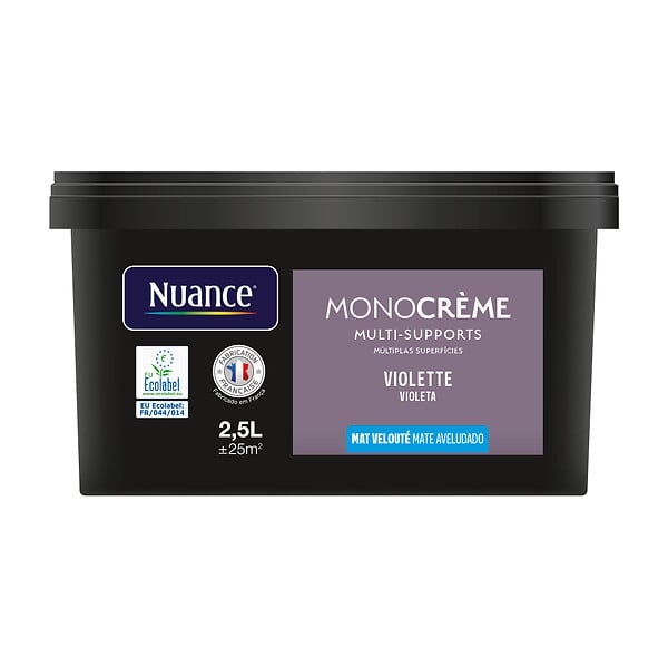 H20147-2L5 - Peinture Monocrème - Violette