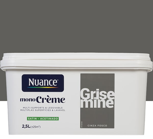 3505391056867 - Peinture MonoCrème - Grise mi