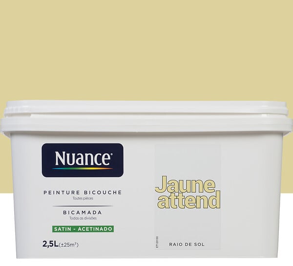 3505391059509 - Peinture bicouche - Jaune atte