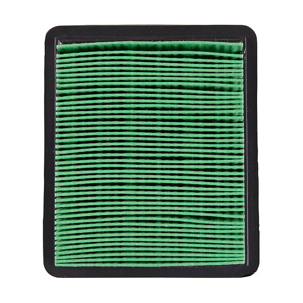 3505391006602 - Filtre à air de remplacement