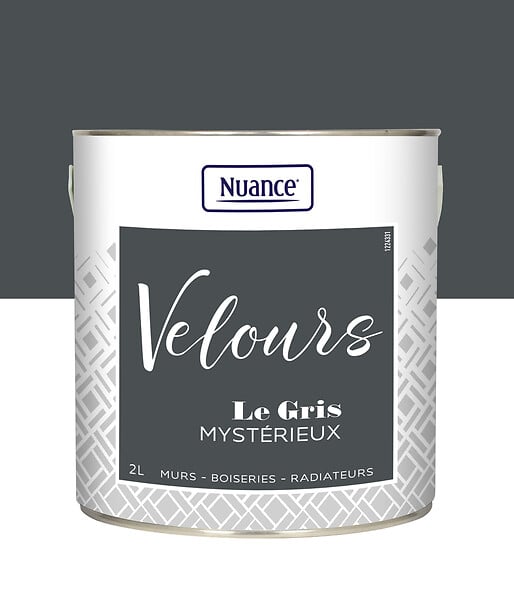 436237 - Peinture Velours - Gris myster