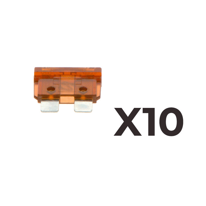 Pack de 10 fusibles BOSCH 1987529081 Standard