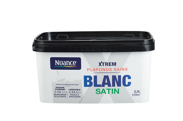 H18317-2L5 - Peinture XTREM Plafonds sains