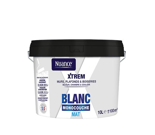 466843 - Peinture XTREM - Monocouche -