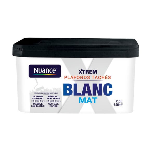 H18318-2L5 - Peinture XTREM Plafonds taché