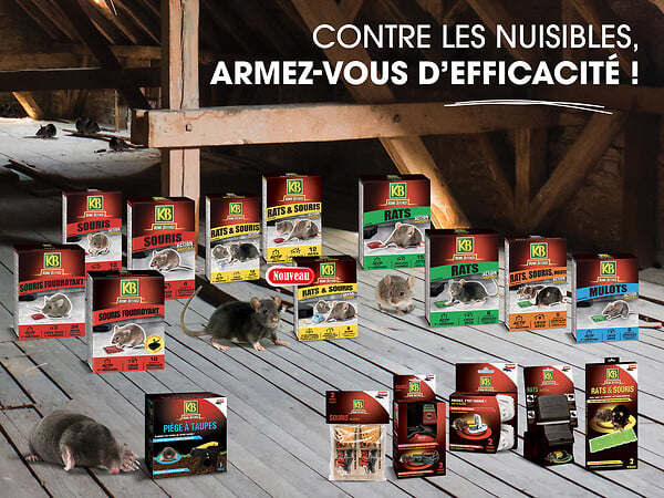 4062700842508 - Station dappât pour rats + c