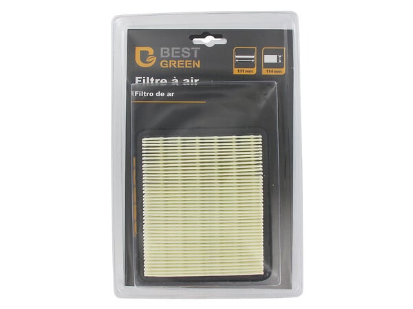 3505391006602 - Filtre à air de remplacement