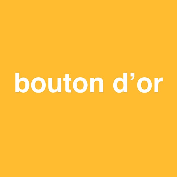 3505391056065 - Peinture MonoCrème - Bouton d