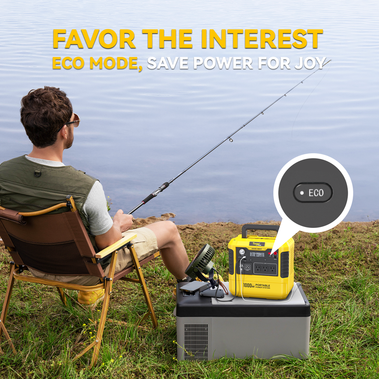 Station d'energie - TOGO POWER - Technologie batterie LiFEPO4 - ADVANCE1000LFP - Sortie max AC 2000W