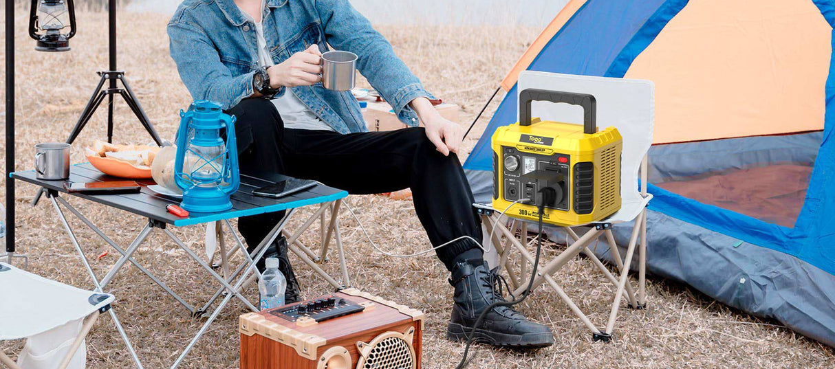 Station d'energie - TOGO POWER - Technologie batterie LiFEPO4 - ADVANCE300LFP - Sortie max AC 400W