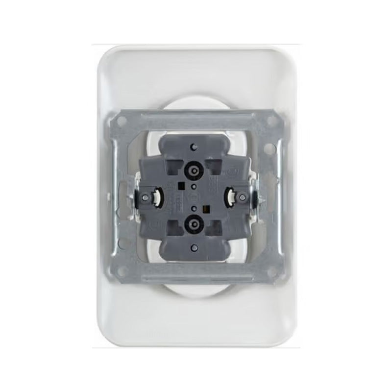 Double prise de courant 2P+T OVALIS SCHNEIDER S262089 avec terre 250V