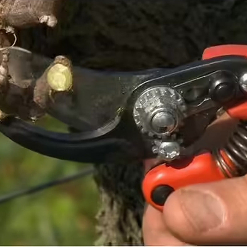 Sécateur ergo taille m tete n 2 BAHCO - PX-M2