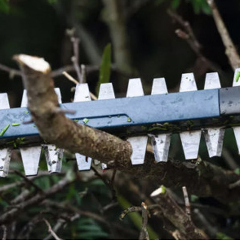 Taille-haies GHE 18V-60 (II) - BOSCH - 06008C9400