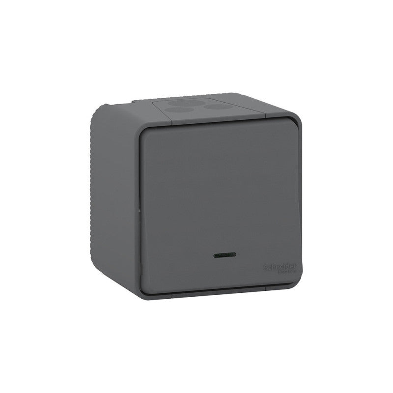 Bouton poussoir lumineux en saillie SCHNEIDER Mureva MUR35028 - 10A - 250V - IP55 - anthracite
