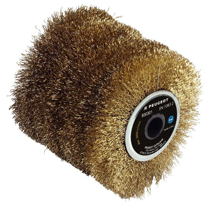 Brosse PEUGEOT 120*100mm en acier laitonné