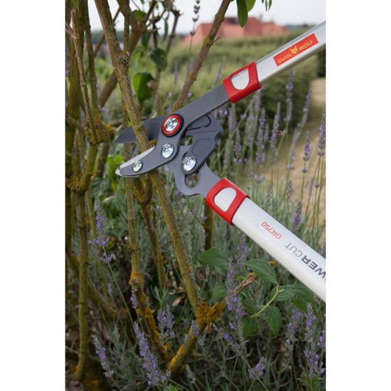 Elagueur Confort à enclume 45 mm OUTILS WOLF OR750 75 cm - Powercut