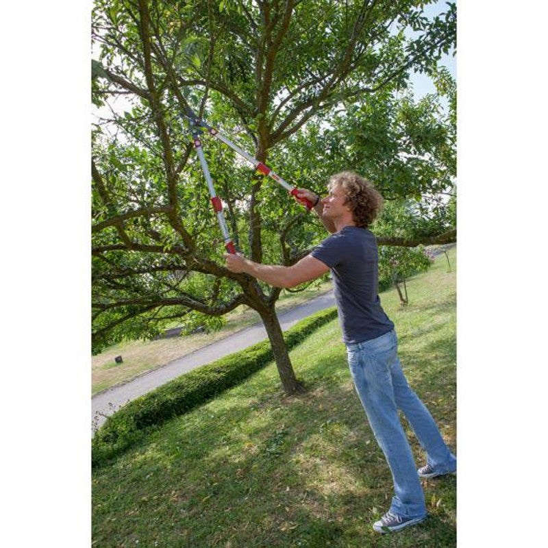 Elagueur Premium télescopique à enclume 50 mm OUTILS WOLF OR900T - Powercut