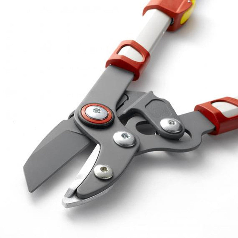 Elagueur Premium télescopique à enclume 50 mm OUTILS WOLF OR900T - Powercut