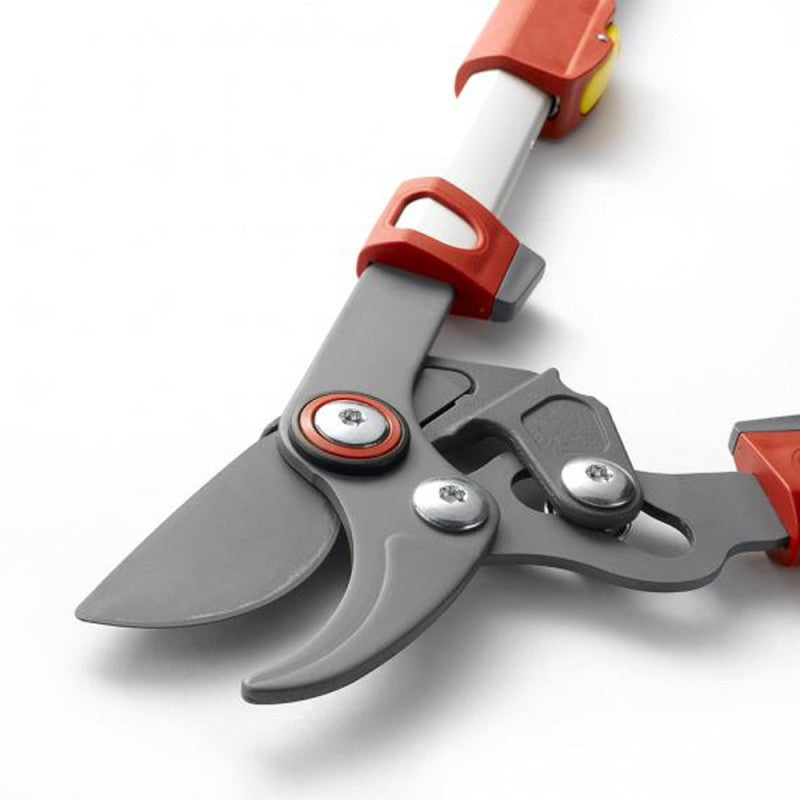 Elagueur télescopique à coupe franche 50 mm OUTILS WOLF OS900T - Powercut