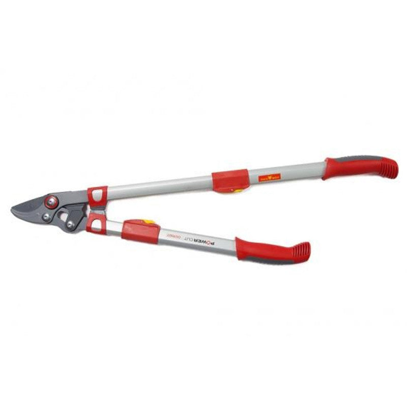 Elagueur télescopique à coupe franche 50 mm OUTILS WOLF OS900T - Powercut