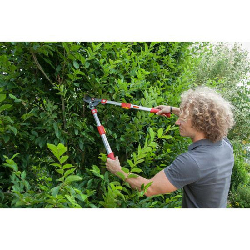 Elagueur télescopique à coupe franche 50 mm OUTILS WOLF OS900T - Powercut