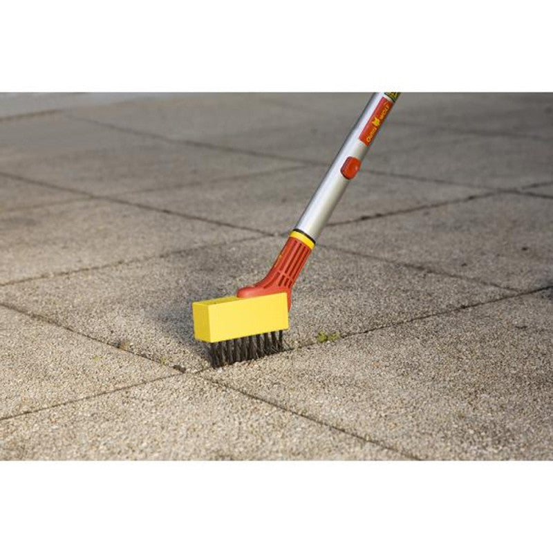 Grattoir brosse métallique OUTILS WOLF FBM (Manche interchangeable) - Multistar