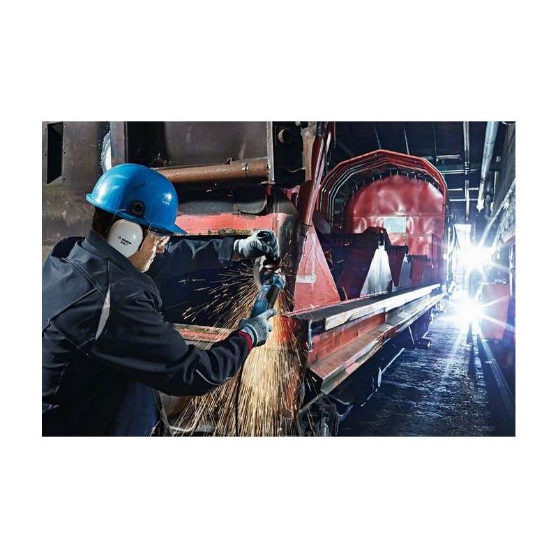 Meuleuse d'angle BOSCH 060179P002 - GWS 19-125 CIE Professional 1900 W - Ø 125 mm