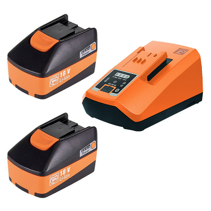 Pack 2 batteries FEIN 18V 6,0Ah + 1 Chargeur rapide ALG 80 BC