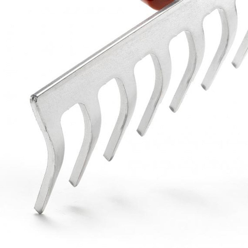 Petit râteau10 dents OUTILS WOLF DSM19 19 cm (Manche interchangeable) - Multistar