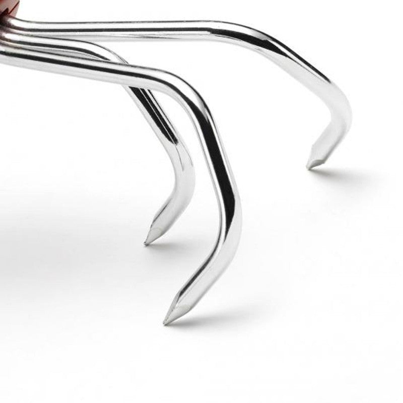 Petite griffe 3 dents OUTILS WOLF LAM (Manche interchangeable) - Multistar