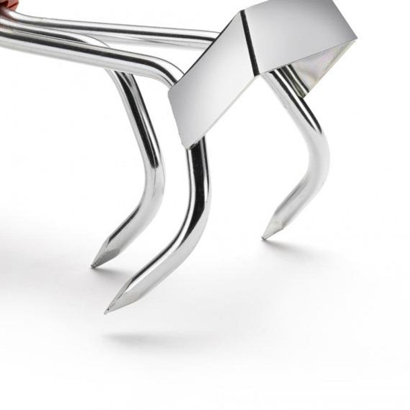 Petite griffe-sarcleuse 3 dents OUTILS WOLF LBM 6,5 cm (Manche interchangeable) - Multistar