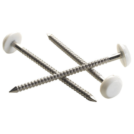 Pointe Plastop annelée Inox A4 NORFIX