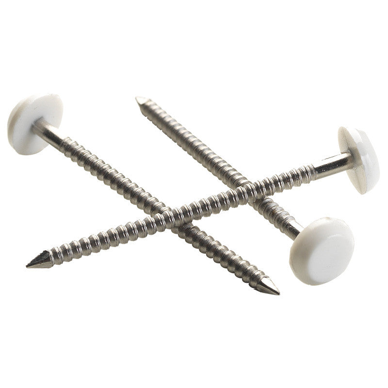 Pointe Plastop Tête Ronde inox A4 NORFIX annelée Ivoire Clair