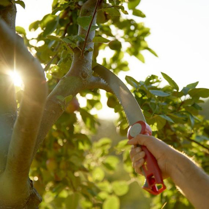 Scie d'élagage 37 cm OUTILS WOLF OZM3 + poignée (Manche interchangeable) - Multistar