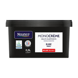 H20119-2L5 - Peinture MonocrÃ¨me - Blanc -