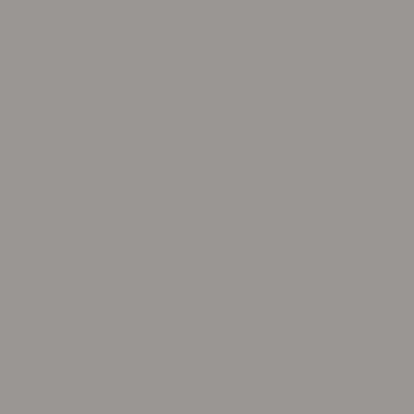 H20114-2L5 - Peinture Bicouche - Gris foncÃ