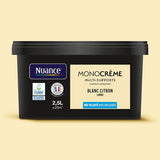 H20123-2L5 - Peinture MonocrÃ¨me - Blanc ci