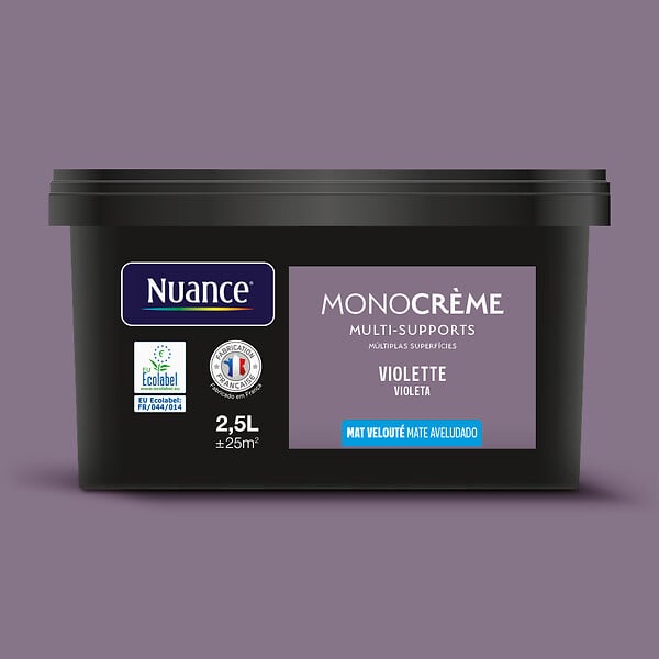 H20147-2L5 - Peinture MonocrÃ¨me - Violette