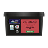 H20184-2L5 - Peinture MonocrÃ¨me - Rouge gr