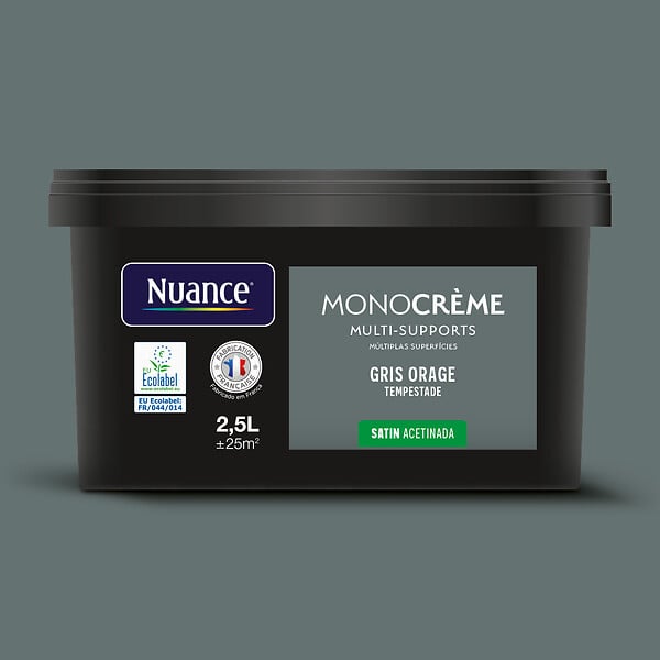 H20173-2L5 - Peinture MonocrÃ¨me - Gris ora