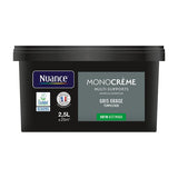 H20173-2L5 - Peinture MonocrÃ¨me - Gris ora