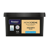 H20135-2L5 - Peinture MonocrÃ¨me - Jaune mi