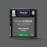 H20169-0L5 - Peinture MonoCrÃ¨me - Gris ard
