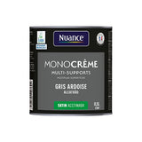H20169-0L5 - Peinture MonoCrÃ¨me - Gris ard
