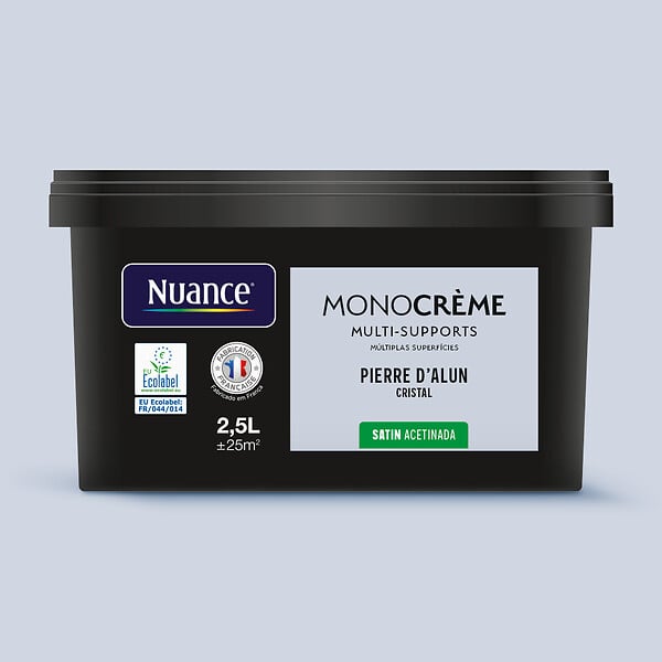 H20179-2L5 - Peinture MonocrÃ¨me - Pierre d