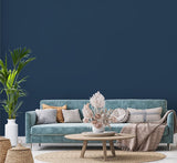 H20158-0L5 - Peinture MonoCrÃ¨me - Bleu nui