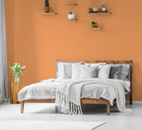 H20122-0L05 - Testeur peinture MonoCrÃ¨me -